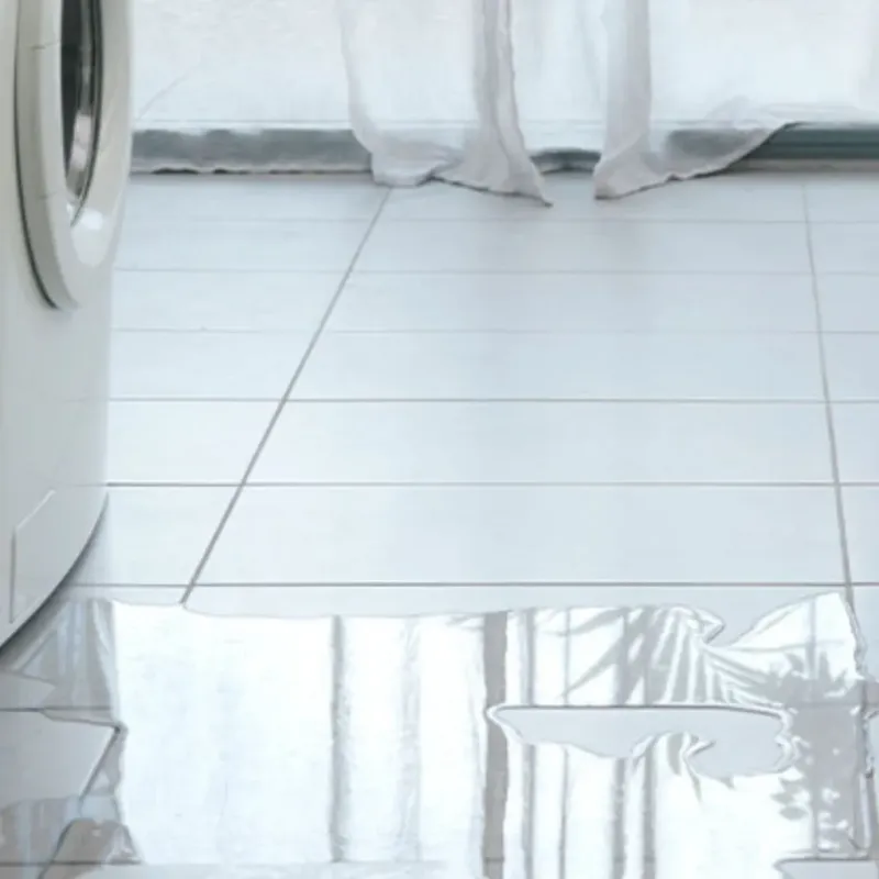 Appliance Leak Cleanup in Pine Prairie, LA