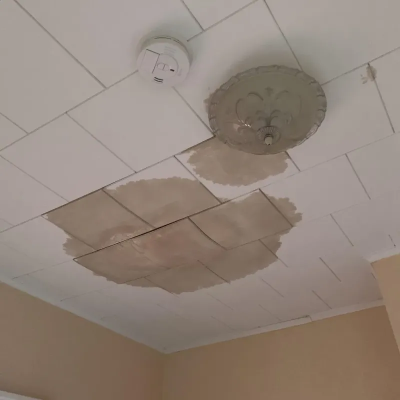 Ceiling Water Damage Repair in Pine Prairie, LA