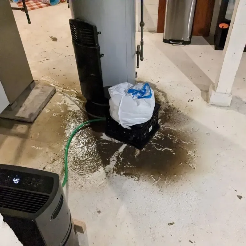 Sewage Backup Cleanup Service in Pine Prairie, LA